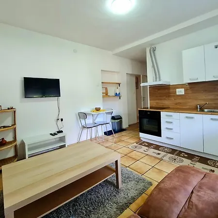 Roko * Zadar